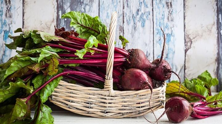 Cékla2 A céklával kapcsolatos legkorábbi hiteles történelmi forrás feltehetően a Kr. e.-i 8. századból származik.